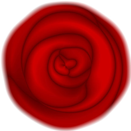 abstract flower - red rose on white backgroundの写真素材