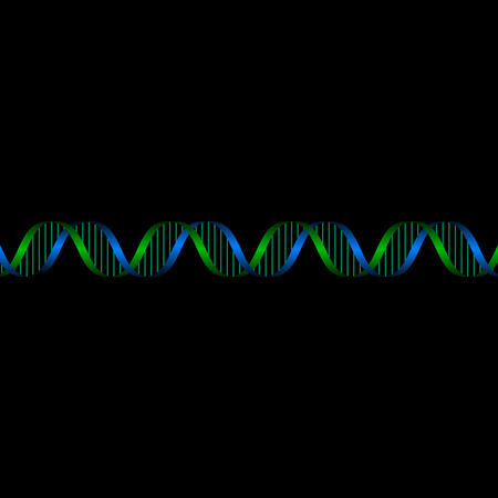 blue and green DNA on black backgroundの写真素材