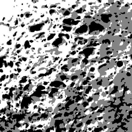 Black and white natural textureのイラスト素材