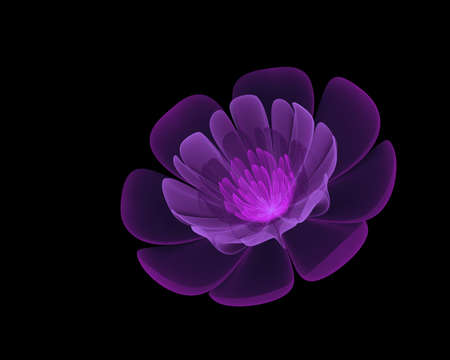 Violet abstract textured 3D flower isolated on black backgroundの写真素材