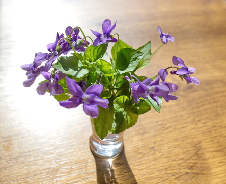 bouquet of violets on vaseの写真素材