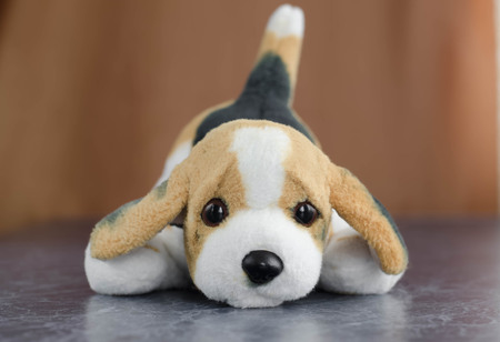 lovely toy dog ??on a tableの写真素材