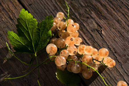 berry of white currant on a wooden tableの写真素材
