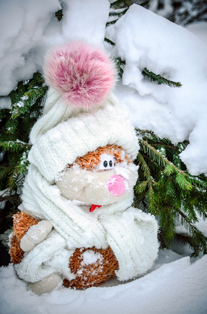 red cat in a warm scarf on snow, a soft toyの写真素材
