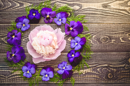 Violets on a wooden background. Copy spaceの写真素材