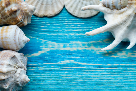 Summer sea background - shells on a wooden background.の写真素材