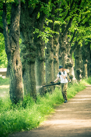 Sanitary treatment of the park during tick-borne encephalitis. Health protection.の写真素材