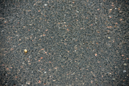 Background of wet asphalt after rainの写真素材