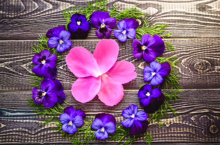 Flowers of violets in the shape of a circle on a wooden background. Copy spaceの写真素材