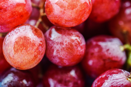 Macro of fresh red grapes with water dropsの写真素材