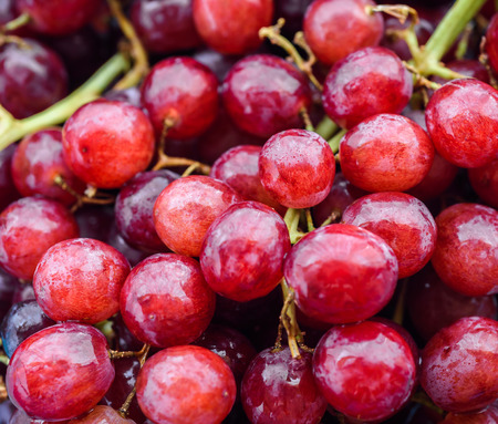 Macro of fresh red grapes with water dropsの写真素材