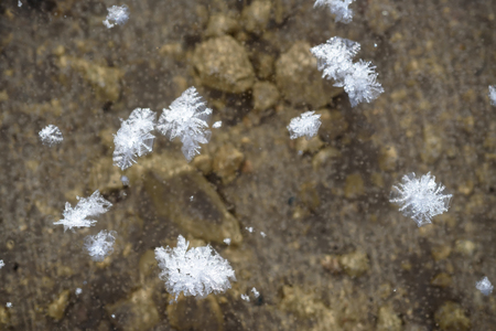first freezing on the puddleの写真素材
