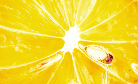Lemon in a section. Texture of a lemon. Close up and macro.の写真素材