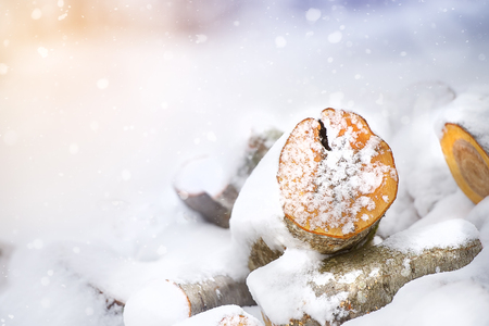 Wooden logs in winter snowの写真素材