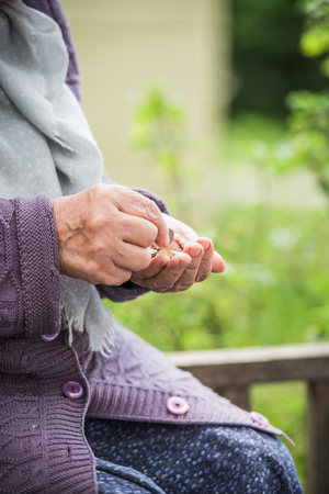 Money, coins, the grandmother on pensions and a concept of a living minimum - in hands of the old woman isn't enough money.の写真素材