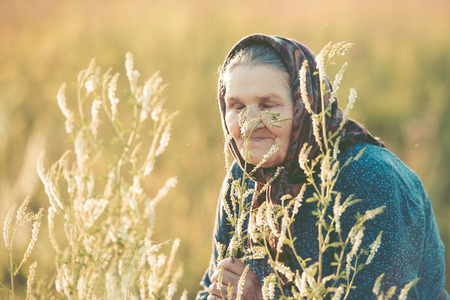 Close-up of a grandmother in golden herbs for a walk in the field. Sunny sunset in the summer.の写真素材