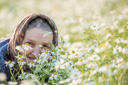Grandmother, field, chamomile and the concept of outdoor recreation - an old lady in a field with daisies. Summer portrait.の写真素材