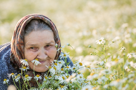 Grandmother, field, chamomile and the concept of outdoor recreation - an old lady in a field with daisies. Summer portrait.の写真素材