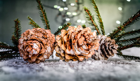Christmas composition of twigs and conesの写真素材