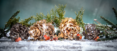 Christmas composition of twigs and conesの写真素材
