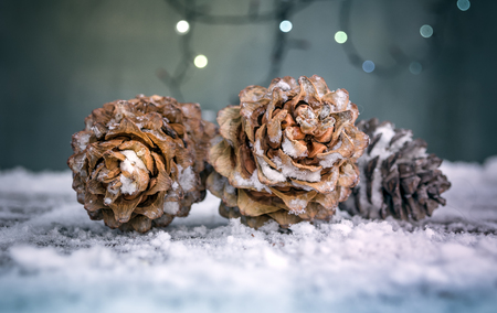 Cones on the table - christmas backgroundの写真素材