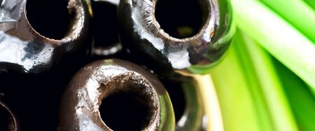 Background of pitted Olives-close-up, macroの写真素材