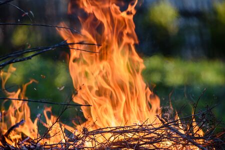 Burning dry brushwood in the fireの写真素材