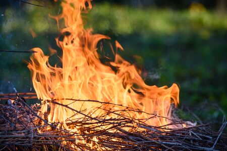 Close - up fire-burning dry branchesの写真素材
