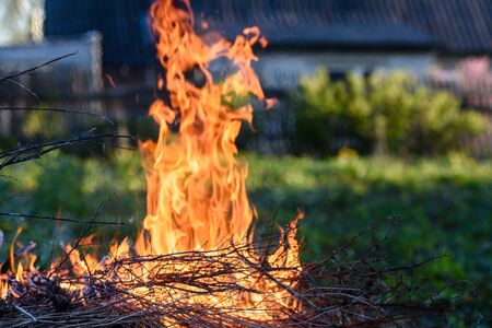 Burning dry brushwood in the fireの写真素材