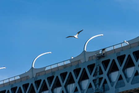 Russia, Saint Petersburg, may 30, 2020: Western high-speed diameter-main bridge, bypass road. A large fragment against the blue sky.のeditorial素材