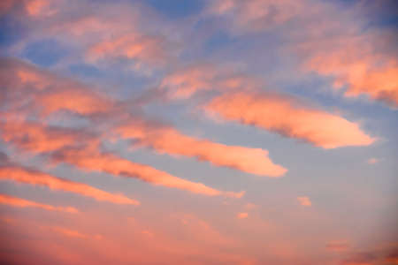 Beautiful pink clouds on the blue sky during sunset. Beautiful natural backgroundの写真素材