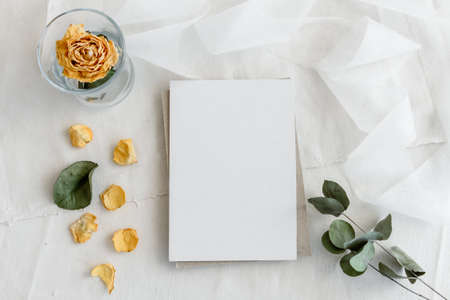 Vintage white background and blank postcard - white background, yellow roses, eucalyptus sprig and...