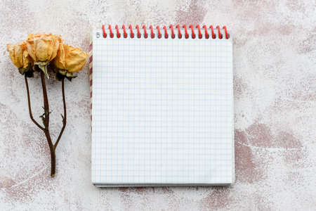 A clean notepad for writing on a light, delicate background and dry flowers and herbs. Stationery soft background. Top view, close-up, and copy space.の写真素材