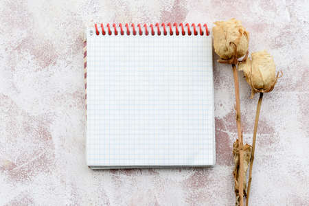 Stationery romantic delicate background-a clean notebook, and white dry roses. Top view, close-up, and copy space.の写真素材