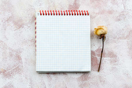 A clean notepad for writing on a light, delicate background and dry flowers and herbs. Stationery soft background. Top view, close-up, and copy space.の写真素材