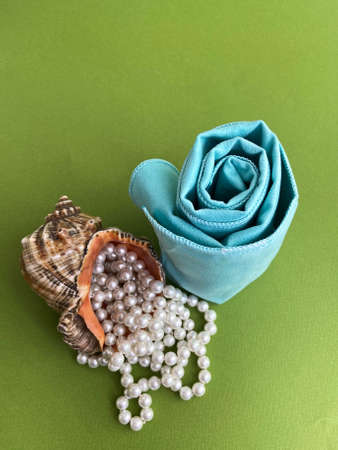 Microfiber cloth for cleaning jewelry on a green backgroundの写真素材