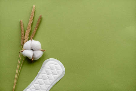 Cotton flower on a green paper background and sanitary pads for women, top view. The concept of hygiene and women's healthの写真素材