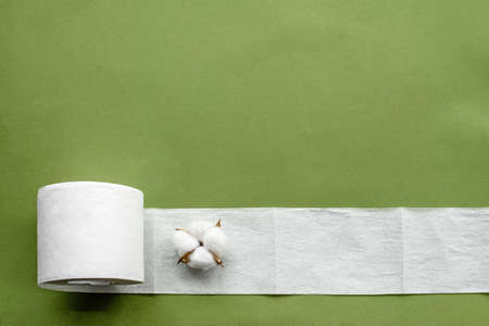 Hygienic flat background on top - toilet paper and a sprig of cotton on a green background
