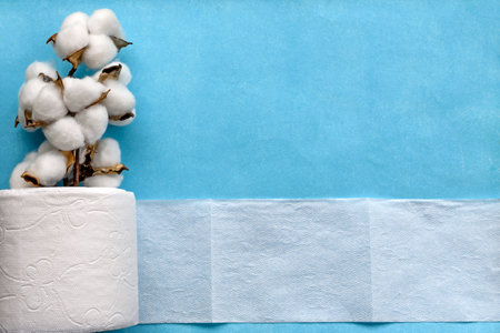 Hygienic flat background on top - toilet paper and a sprig of cotton on a green backgroundの写真素材