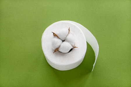Hygienic flat background on top - toilet paper and a sprig of cotton on a green backgroundの写真素材
