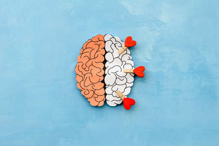 right hemisphere of the brain of a man in love made of paper on a blue background