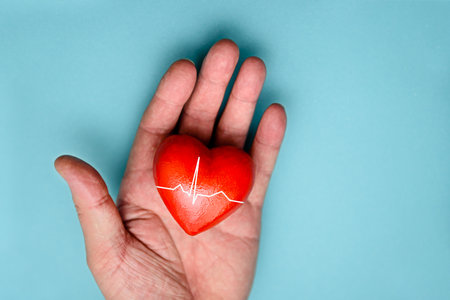 A red heart in his hand with a cardiogram strip. The concept of health and cardiology.の写真素材