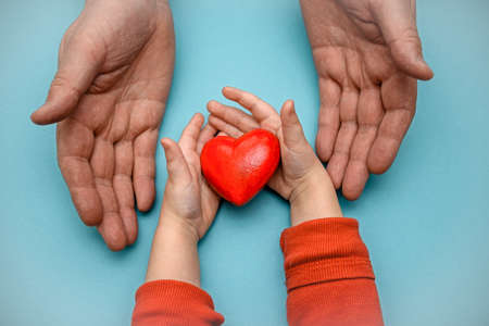 Adult and children's hands holding a red heart - the concept of health, love and family. Mother's Day, Health Day. Adoption and charity.の写真素材