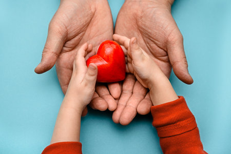 Adult and children's hands holding a red heart - the concept of health, love and family. Mother's Day, Health Day. Adoption and charity.の写真素材
