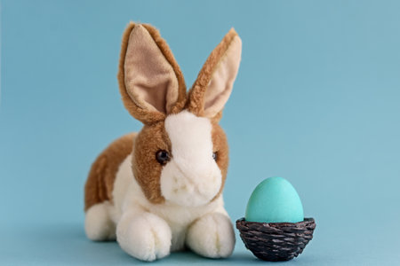 Easter Bunny toy soft and painted egg.の写真素材