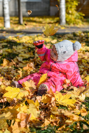 Cute little girl playing with autumn leaves in the park on a sunny dayの写真素材