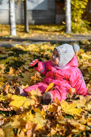 baby little girl sitting on the ground on yellow leaves in autumnの写真素材