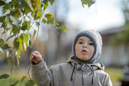 A little boy of 3 years old in the park under the branches of a treeの写真素材