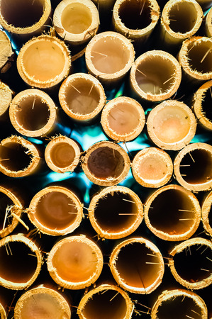 bamboo bachgroundの写真素材