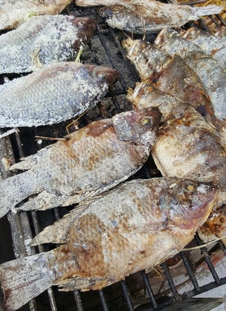 Delicious fresh fishの写真素材